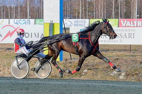 Francis Journey on voittanut kautensa kaikki kilpailut. Kuopiossa toukokuussa ohjissa oli Iikka Nurmonen, Cartivet Meetingin finaalissa Janne Räisänen. Arkistokuva: Juhani Hynynen