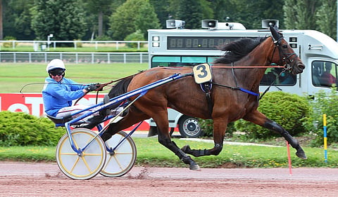 Estelle Nordique ja Franck Nivard. Kuva: Scoopdyga.com