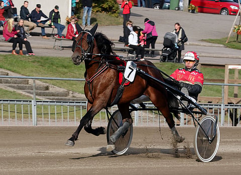 Cacshot kilpaili 4-vuotiskauden loppuun asti Tapio Perttusen valmennuksessa. Nyt se on 6-vuotias.