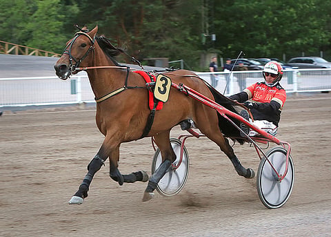 Tapio Perttusen tallin No Limit Star on sopiva ideavarma.