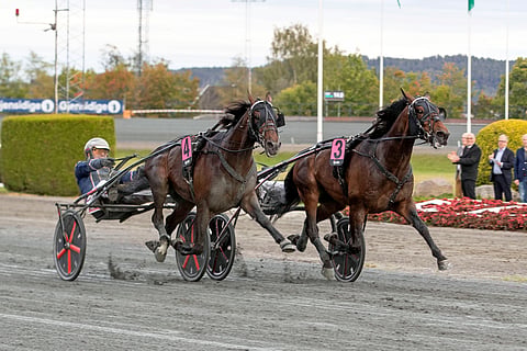 Kräsj (4) kilpailee lauantaina ensi kertaa sitten derbyn, jossa Magnus Teien Gundersen kannusti sen voittoon.