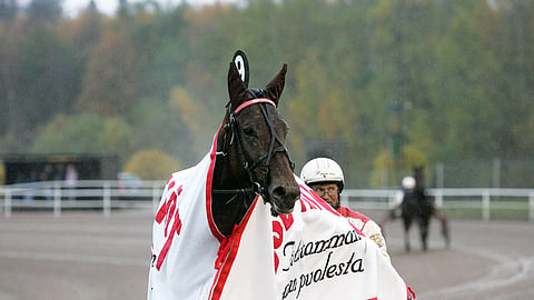 Lauri Turunen ajoi Ava Adoren voittoon Vermossa lokakuussa 2006.