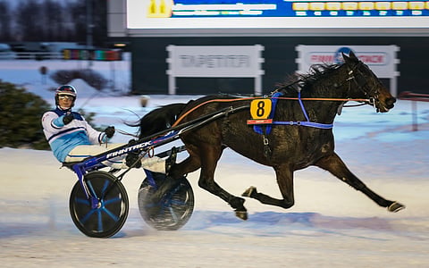 Riku Salminen ja Vikens Energy menestyivät mainiosti yhdessä.