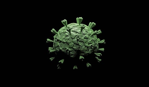 Herpesvirus on ehtinyt Kaliforniaan. FEI:ssä mietitään, mitä vuosi sitten Euroopassa tapahtuneesta epidemiasta voisi oppia.