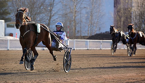 Magical Princess irtosi karsinnassa muista herkällä tyylillä.