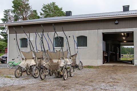 Kuvituskuva