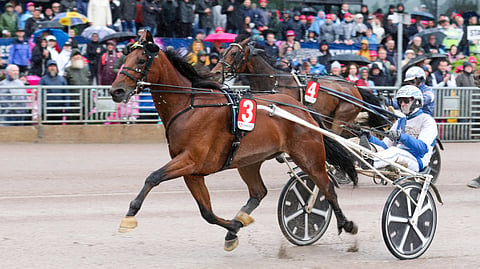 Usain Töll juoksee Elitloppetissa.