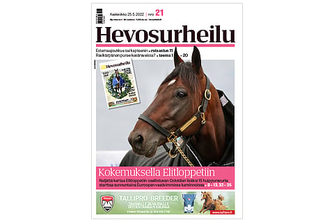 Cokstile starttaa Elitloppetissa sunnuntaina neljättä kertaa.