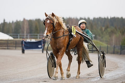Heikki Hoffrenin Lipassi ei vielä tappiota tunne.