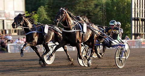 Corazon Combo (2) ja Blackbeard (10) tulivat maalilinjalle täysin rinta rinnan.