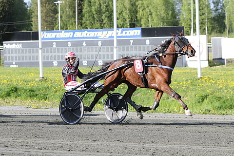 Santtu Raitala tuuletti Racing Boyn Kuopio Stakesin karsintavoittoa keväällä 2020.