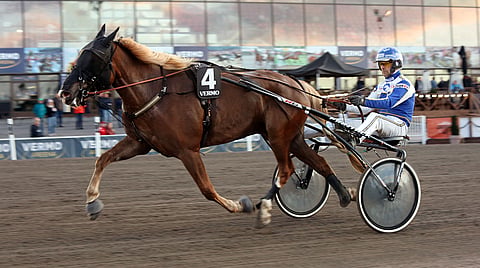 Esa Holopainen ajoi illan aikana kaksi Toto65-voittoa. Tässä hollolalainen naruttelee Mergeliä.