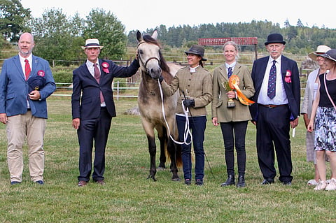 Hagelunds Honeybunin kanssa poseeraavat vasemmalta ruotsalaistuomari Göran Graaf, britti Malcom Fry, ponin esittäjä Mirva Kinnunen, omistaja Sanna Ollikka, hollantilaistuomari Libertus Alderkamp, suomalaistuomari Anna Pajanen sekä näyttelyn johtaja Heidi Kärki.