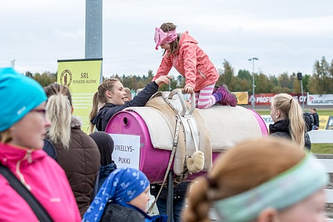 Näin Oulussa Hevosteltiin vuonna 2016.