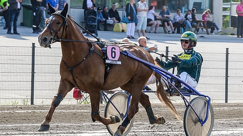 Wertti on ansainnut Costellon pojista toistaiseksi eniten.