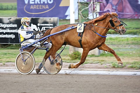 Jukka-Pekka Kauhasen ohjastama Velvet on mielenkiintoinen ideavarma tammikuun viimeiseen Euronelkkuun. Bonusrahaa on taas jaossa 40 000 euroa.