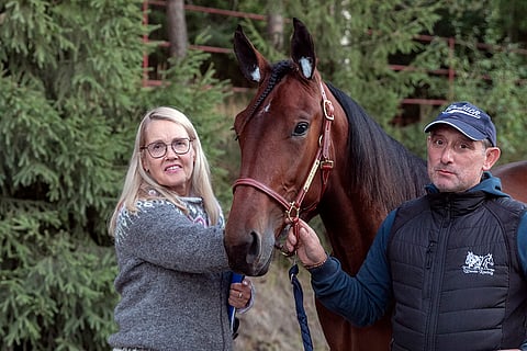 Anne Siljamäki huusi viime syyskuussa Ypäjän varsahuutokaupan kalleimman varsan Hudson Wanian, taluttajana Graziano Barone.