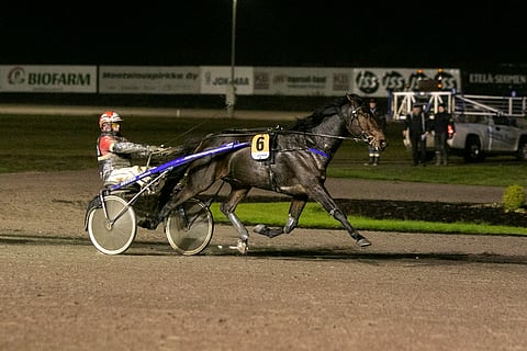 All Star Mint ja Tapio Perttunen jatkoivat voittokulkuaan Jokimaan raveissa 27.10.2022.