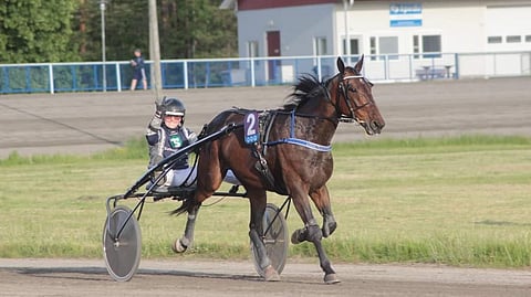 Opiskelija Emma Tuononen ja opetushevonen Make A Dream H.C. Kaustisen 20.6. toto-ravien kolmossijan jälkeen.