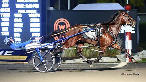 Todd McCarthyn ajama Pebble Beach voitti kaikki starttinsa Woodbine Mohawk Parkissa viime vuonna. Kuva: HU arkisto