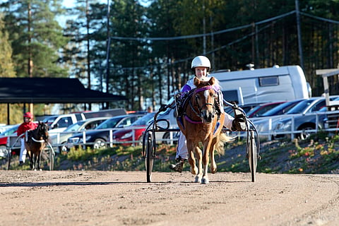 Veera Pietiläinen on yksi Suomen kaikkien aikojen menestyneimmistä poniohjastajista. Hänen viimeisin starttinsa on vuodelta 2015.
