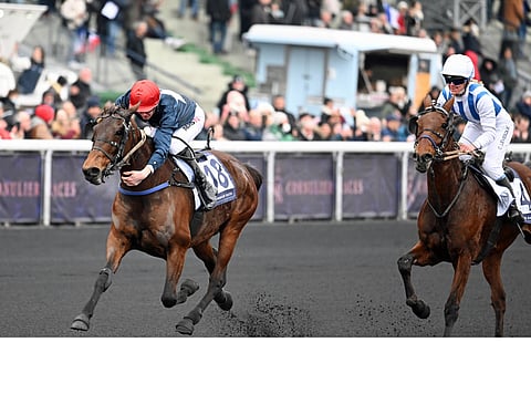 Flamme du Goutier kirii Prix de Cornulierin voittoon.