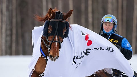 Ravihevonen Morison rattaillaan Juha Utala