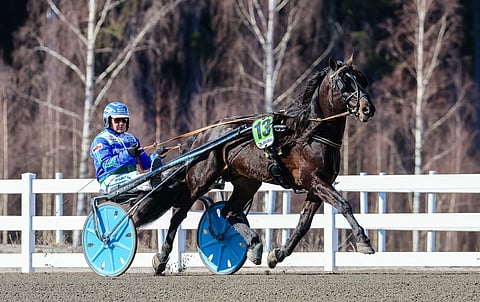 Moe Tjalve 15. huhtikuuta Suomen cupin finaalissa Jyrki Tammimetsän ajamana.