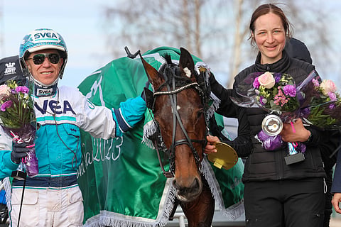 Mister Hercules, Seinäjoki Racen voittaja 2023.