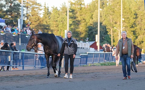 Ravit Norja