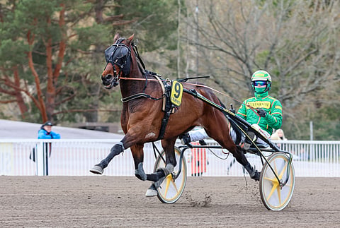 Nemea Iceman on voittanut tällä kaudella viidesti.