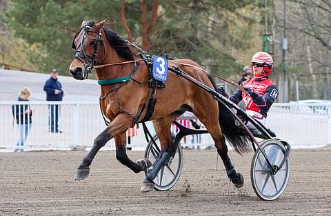 Jiiveegee on jo valmis avaamaan kauden voittosaldonsa. Santtu Raitalan ajokki kilpailee rivin päätöskohteessa.