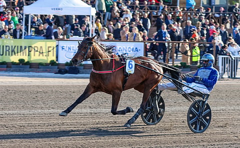 Finlandia-ajossa Hierro Bokoa ohjastanut Jarmo Saarela palaa ruunan rattaille ensi keskiviikkona.