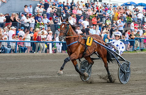 Ravit Ranska