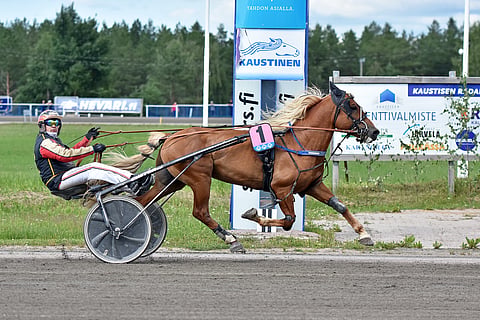 Raviohjastaja Tuomas Pakkanen leikkaa maalilinjan Hissun Feeniksin kanssa.