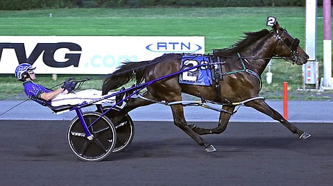 Ravit USA