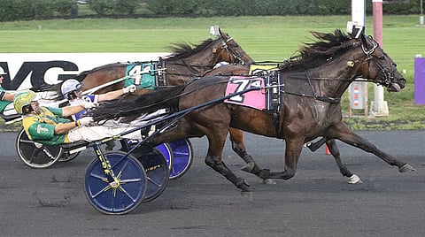 Tim Tetrick ja Heaven Hanover veivät voiton turvan mitalla ennen Rose Run Yolandaa ja Bondia. Kuva: