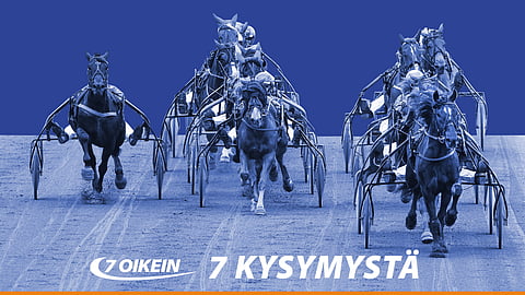 7 kysymystä