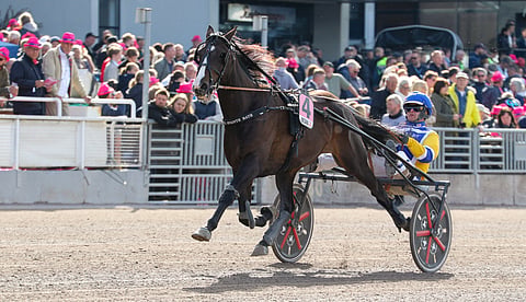 Mellby Jinx saapuu Finlandia-Ajoon.