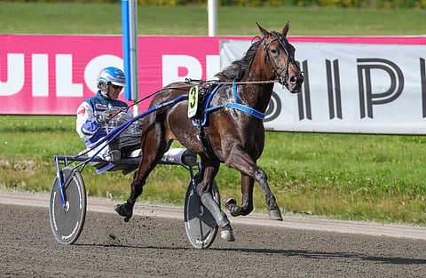 Pekka Korven Sofia Evo on sopiva ideavarma Vermoon. Derbyn Tammachampionissa valjakko starttaa mainiolta kakkosradalta.