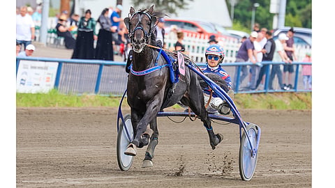 Olli Koivusen ohjastama Crepe Match suuntaa St. Legeriin karsintavoittajana.