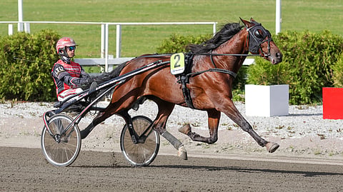 Myös Jerry Riordanilta tulee hevonen Suomen kriterium-karsintoihin. Lightning Stride starttaa T5-pelin kolmannessa kohteessa.