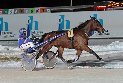 Cheeky Shade Sähönen Cup Olli Koivunen