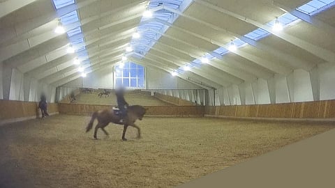 Tanskalaistoimittajan salakuvausta Helgstrandin maneesissa.