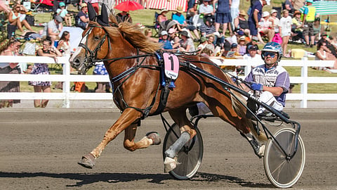 Jani Ruotsalainen on vastannut useasti aiemmin Sipiseen ohjastuksesta.