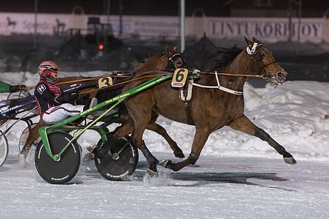 Santtu Raitala ajoi Forssan perjantairaveissa kaksi voittoa, jotka molemmat tulivat Tapio Mäki-Tulokkaan valmennettavilla. Kuvassa tyylinäyte Rahajamatchin kanssa.