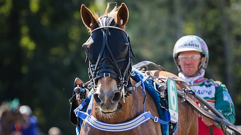 Vaitter on ehtinyt tänä vuonna napata jo kaksi kakkossijaa.