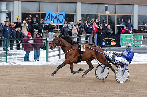 Amazing Playerilla riitti kannattajia viime lauantaina Seinäjoella.
