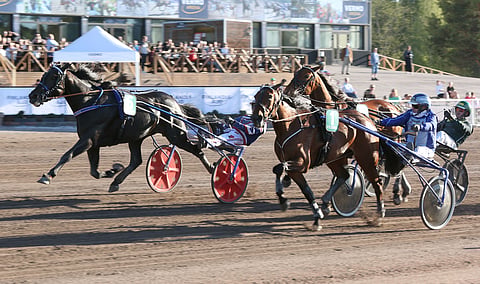 Crepe Match tuli kauden avauskisassa kovaa vauhtia maaliin saakka ja ohitti voittomatsissa Amazing Playerin.