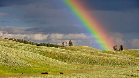 Lauantai on Helsinki Pride -tapahtuman pääpäivä.